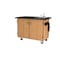 National Public Seating Mobile Science Cart with Shelving and Sink MSC01S - alternate 5
